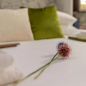 Terrace Loft Colosseum Apartment